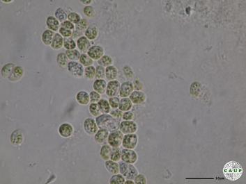 H534_1.JPG