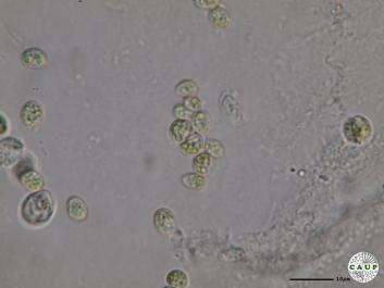 H534_3.JPG