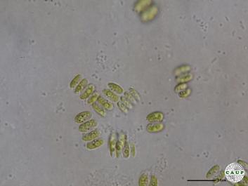 H535_6.JPG