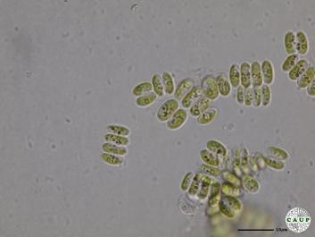 H536_1.JPG