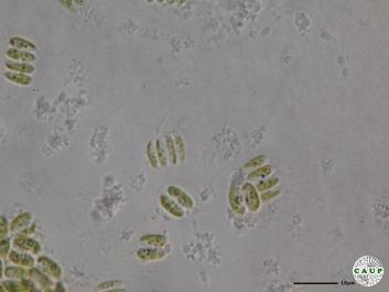 H536_3.JPG