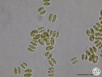 H536_4.JPG