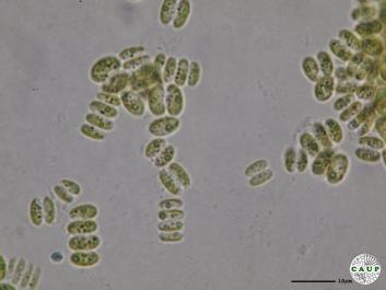 H536_6.JPG