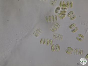 H537_3.JPG