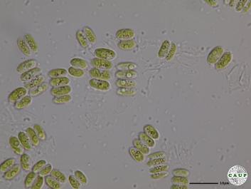 H538_2.JPG