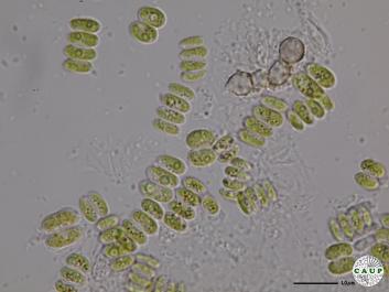 H538_4.JPG