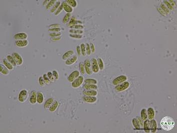 H538_5.JPG