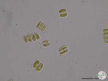 H538_6.JPG