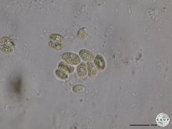 H539_1.JPG