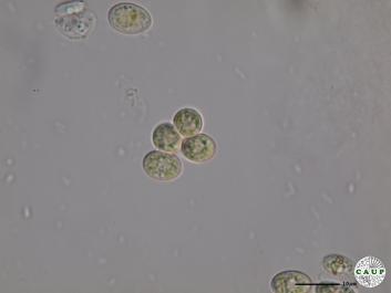 H539_4.JPG