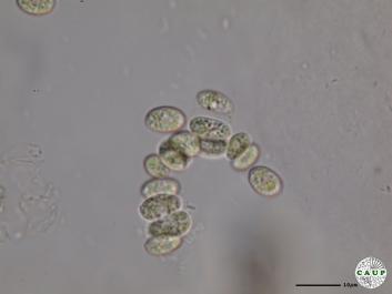 H539_5.JPG