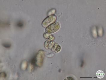 H539_6.JPG