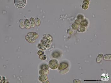 H539_7.JPG