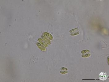 H541_1.JPG