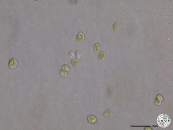 H542_2.JPG