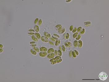 H543_1.JPG