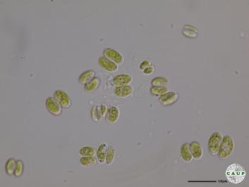 H543_2.JPG
