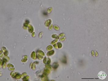 H544_10.JPG
