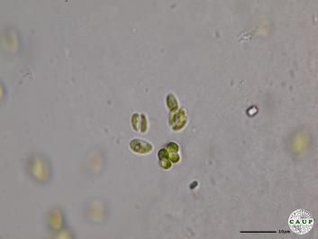 H544_2.JPG