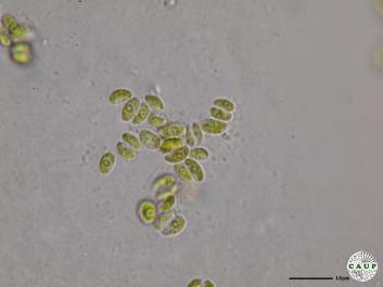 H544_3.JPG