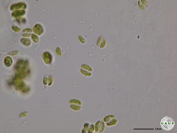 H544_4.JPG