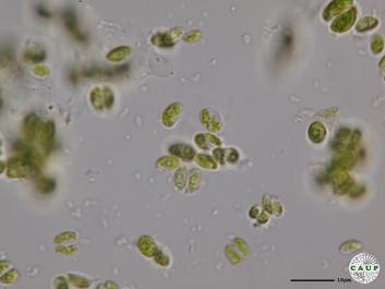 H544_5.JPG