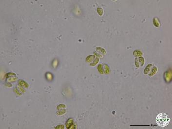 H544_7.JPG