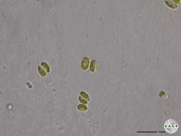 H544_8.JPG