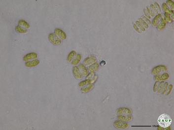 H545_2.JPG