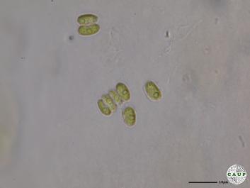 H545_3.JPG
