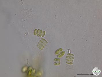 H545_9.JPG
