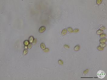 H546_4.JPG