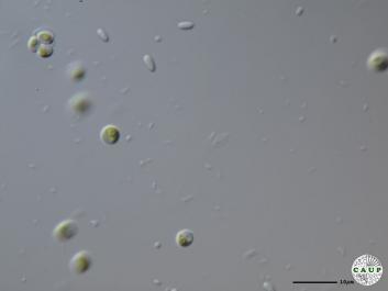 H5503_5.JPG