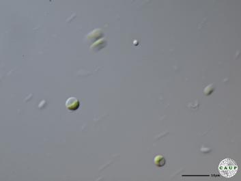 H5503_7.JPG