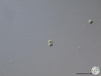 H5503_8.JPG