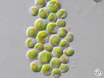 H5801_4.jpg