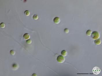 H5801_6.JPG