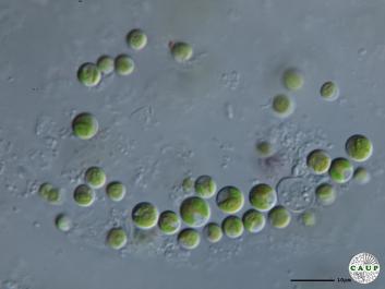 H5801_7.JPG