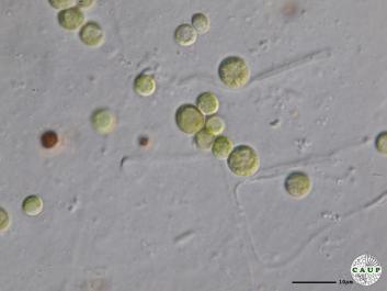 H6001_1.JPG
