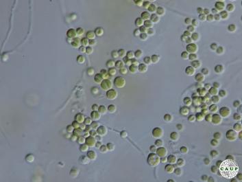 H6002_1.JPG