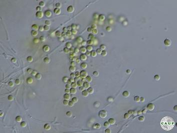H6002_3.JPG