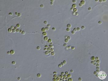 H6002_4.JPG