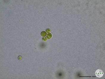 H6002a.JPG