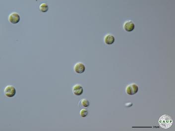 H6003_14.JPG