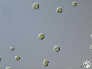 H6003_15.JPG