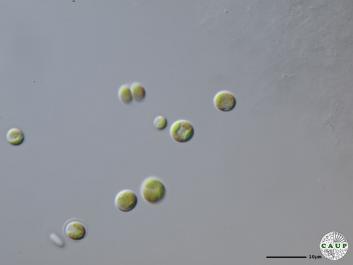 H6003_1.JPG