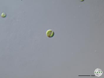 H6003_2.JPG