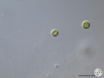 H6003_3.JPG