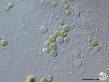 H6003_4.JPG