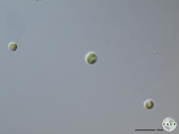H6003_5.JPG